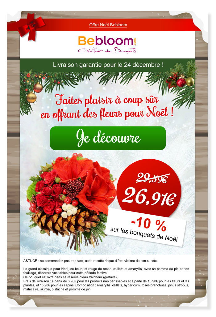 Email Bebloom Offrez des fleurs pour Noël