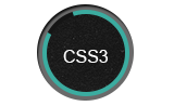 High CSS Skill