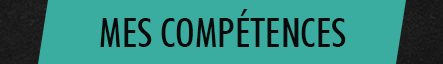 Mes compétences